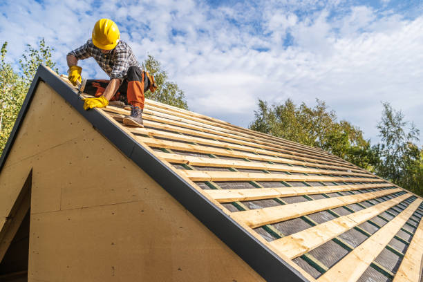 Best Shingle Roofing Installation  in Limestone Creek, FL