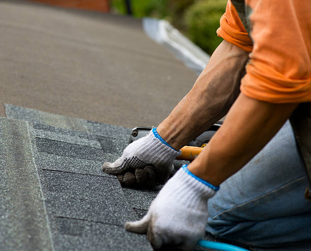 Quick and Trustworthy Emergency Roof Repair Services in Limestone Creek, FL