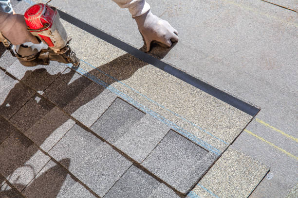 Best Gutter Installation and Roofing  in Limestone Creek, FL